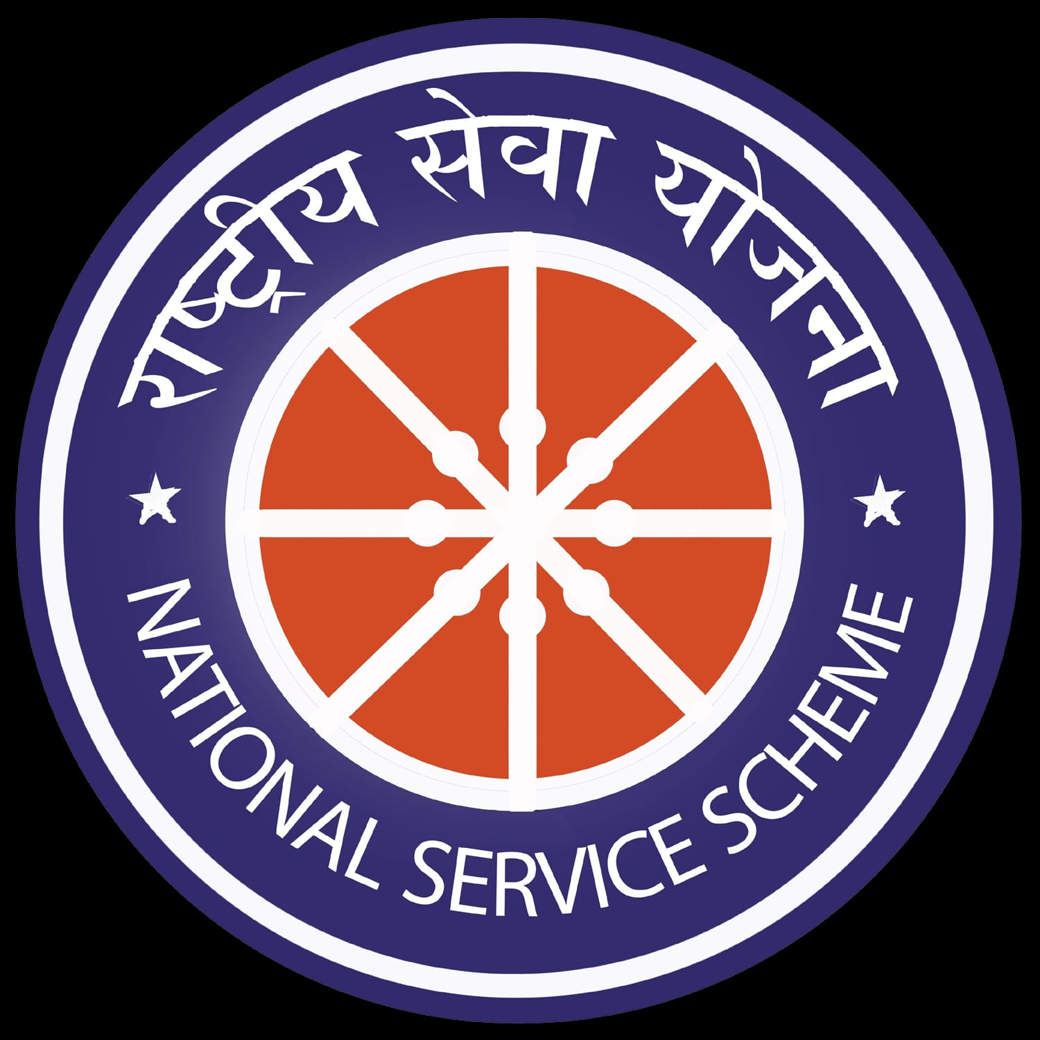 NSS Logo